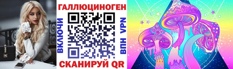 Галлюциногенные грибы GOLDEN TEACHER  Купить  Тында 
